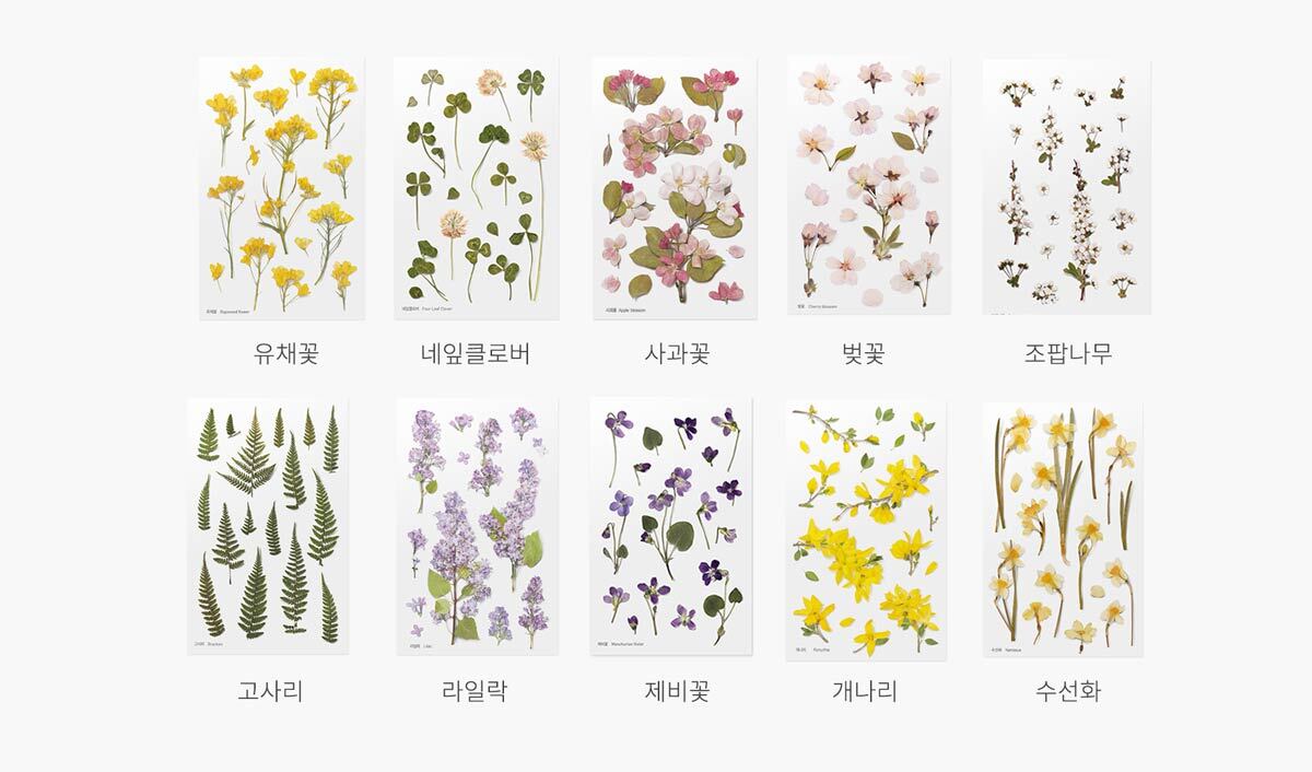국립박물관 신상 MD | 인스티즈