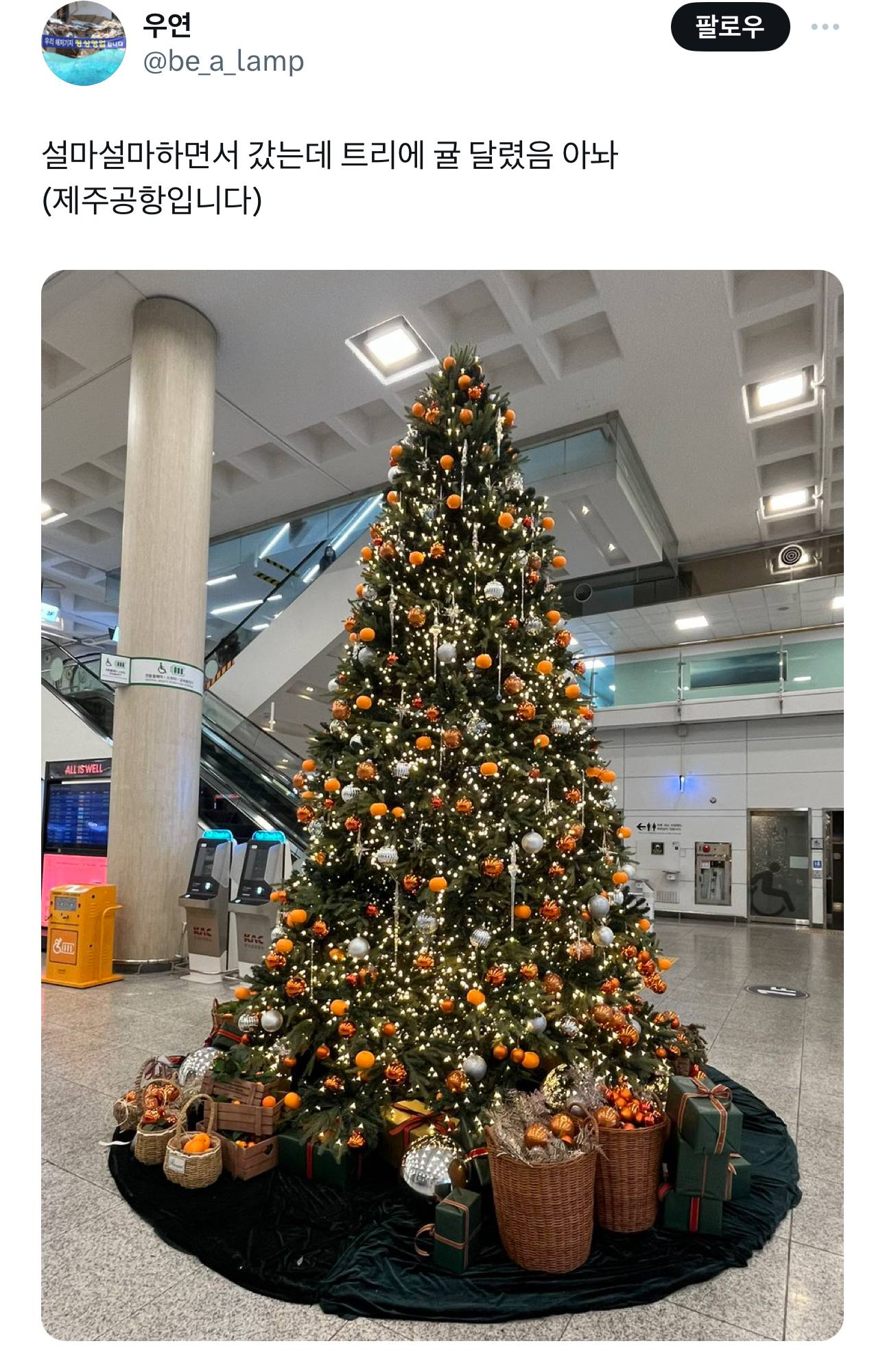 제주라서 가능한 제주공항의 크리스마스 트리 | 인스티즈