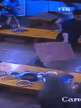 감자탕 먹다가 멧돼지가 처들어옴 | 인스티즈