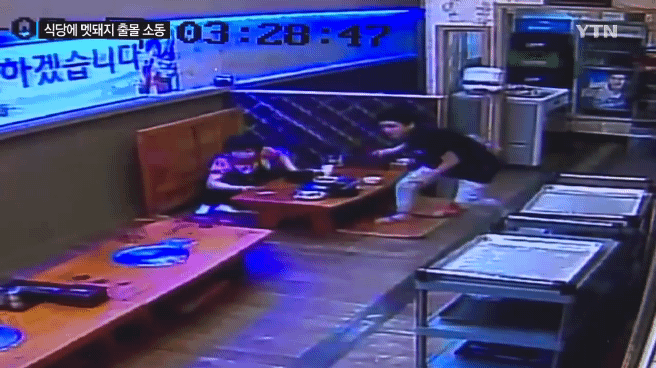 감자탕 먹다가 멧돼지가 처들어옴 | 인스티즈