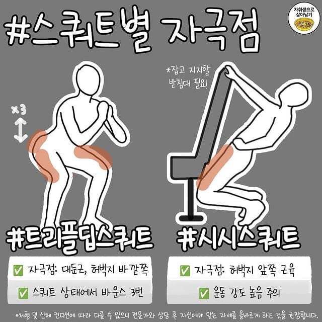 스쿼트 종류별 자극부위 완벽 총정리.jpg | 인스티즈