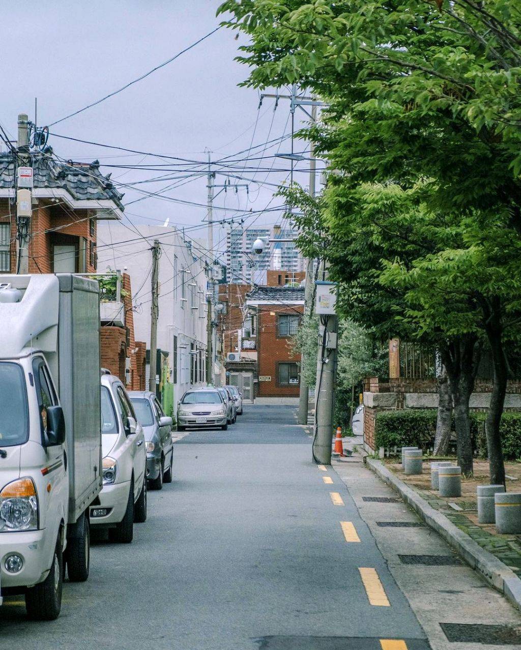 한국의 여름. 강렬함과 청량함, 그리고 아련함 | 인스티즈