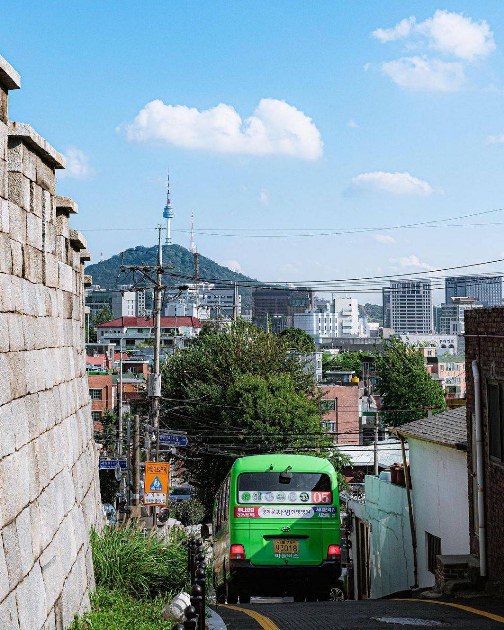 한국의 여름. 강렬함과 청량함, 그리고 아련함 | 인스티즈