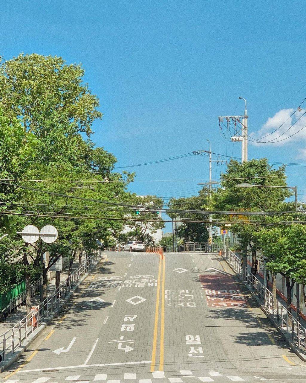 한국의 여름. 강렬함과 청량함, 그리고 아련함 | 인스티즈