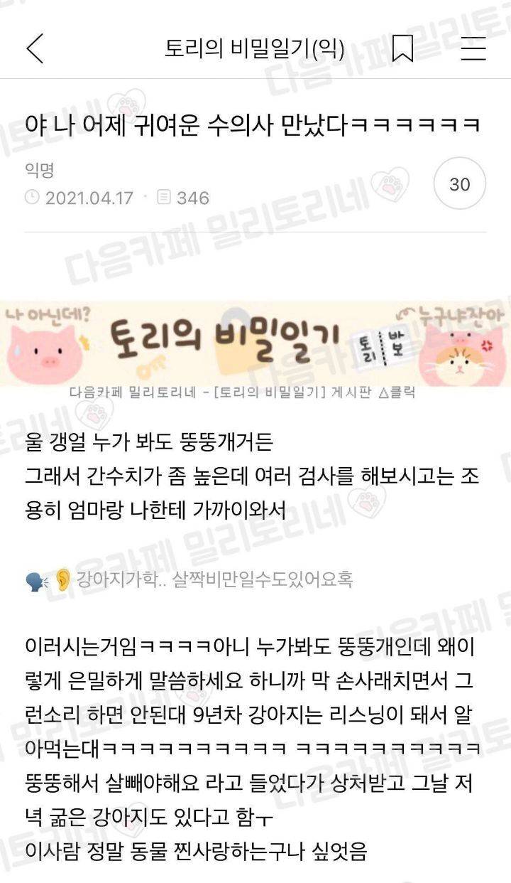 댕댕이들도 살쪘다는 말 찰떡같이 알아들음.jpg | 인스티즈