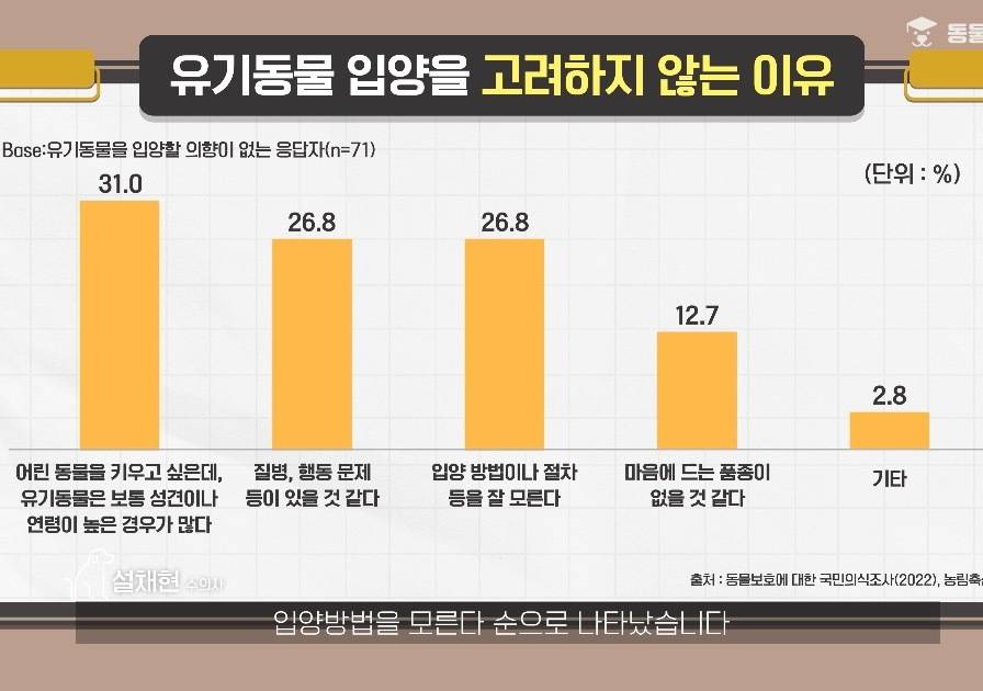 유기견 유기묘를 입양하지 않는 이유 1위 | 인스티즈