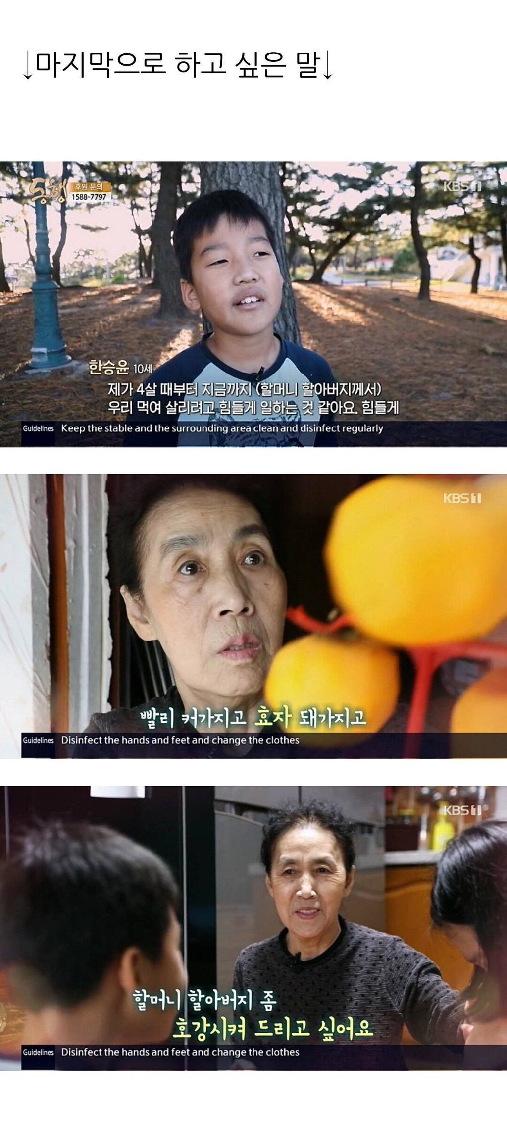 강원도 산골에서 월동 준비하는 남매.jpg | 인스티즈