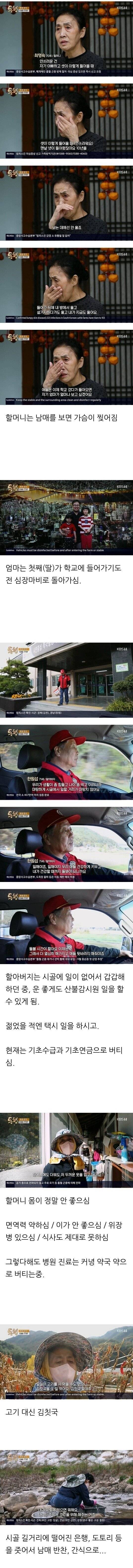 강원도 산골에서 월동 준비하는 남매.jpg | 인스티즈