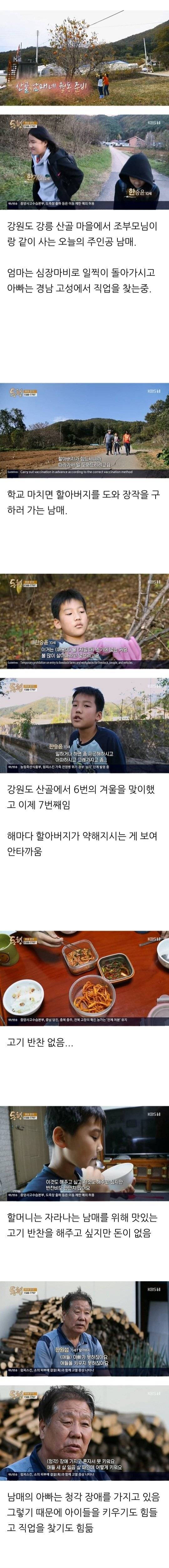 강원도 산골에서 월동 준비하는 남매.jpg | 인스티즈