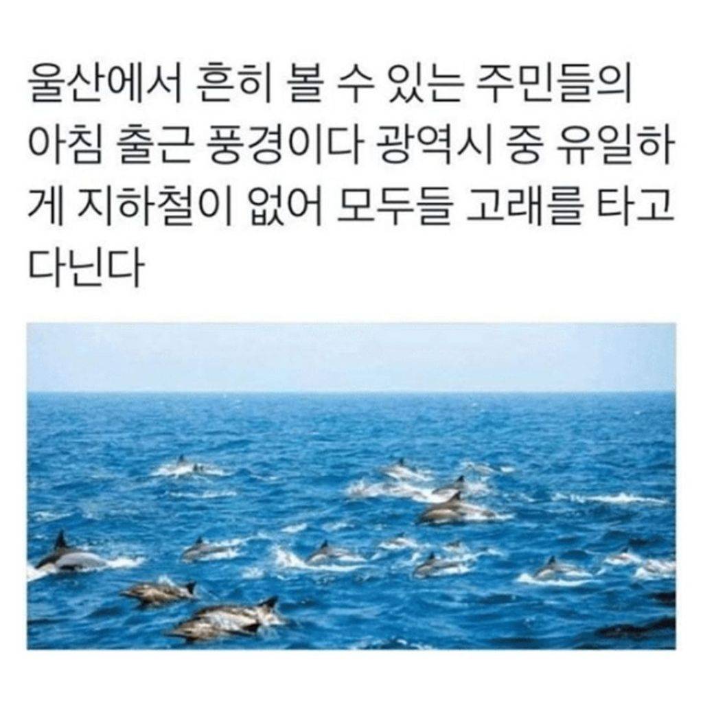 엥 지하철 없으면 뭐타고다님? | 인스티즈