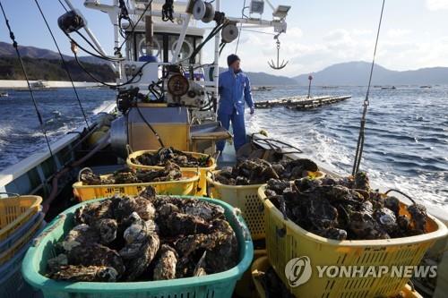 가리비와 굴 어획한 일본 어선