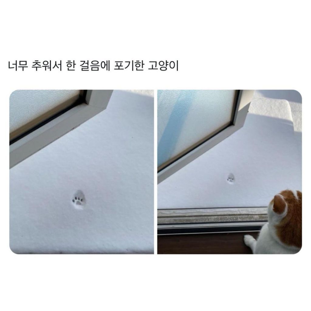 모든걸 파악 할 수 있었던 한발자국 | 인스티즈