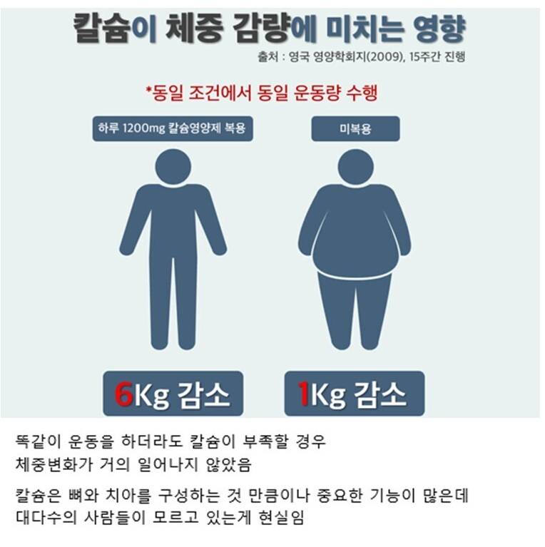 칼슘 부족하면 살 안빠지는 이유 (바이럴 제거 Ver.) | 인스티즈