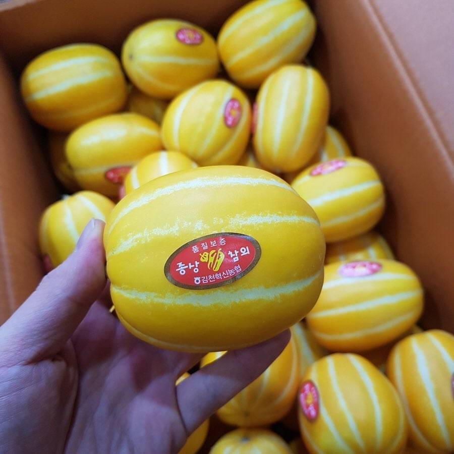 살면서 가장 많이 먹은 것 같은 과일은? | 인스티즈