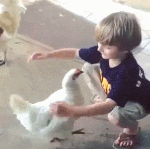 나의 볼케이노가 되어주겠니.. | 인스티즈