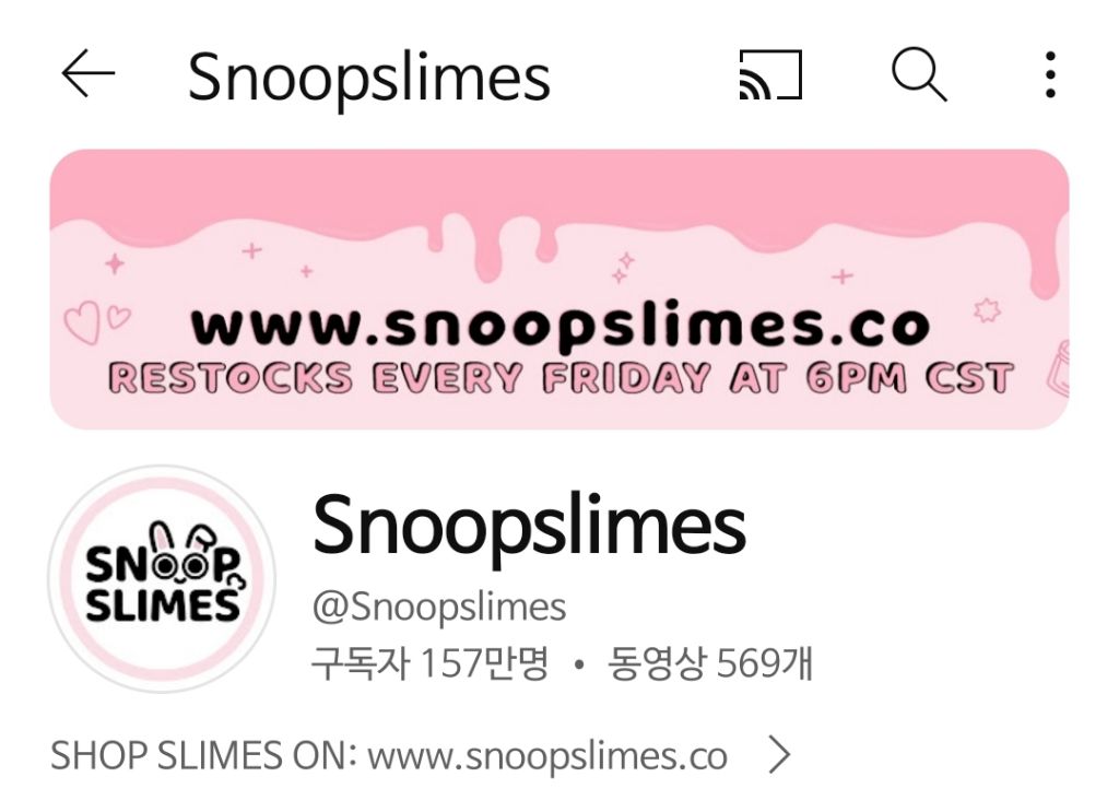 한국인이 미국에서 13살에 창업해 매출 백억대 찍은 슬라임브랜드.snoopslimes | 인스티즈