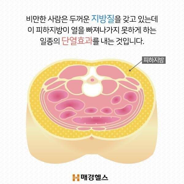 비만은 추위를 덜 탈까? | 인스티즈