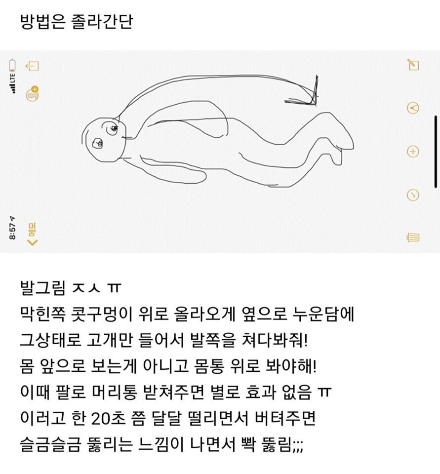 코 막혔을 때 뚫리는 자세 | 인스티즈