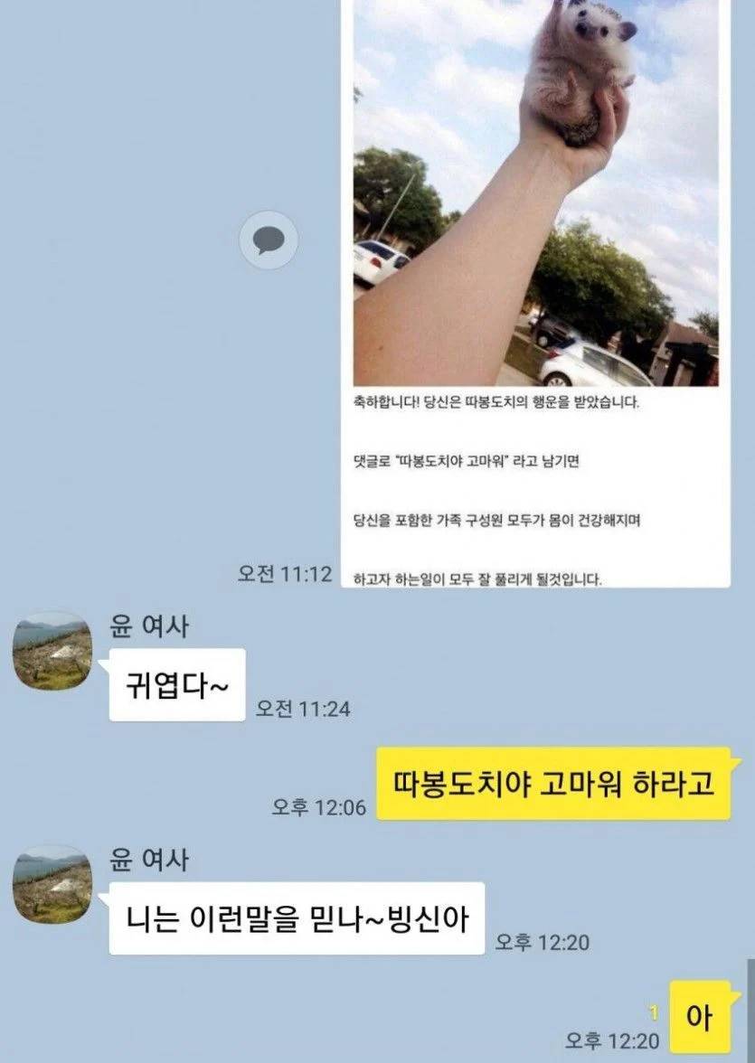 엄마한테 따봉도치야 고마워 보내봄 | 인스티즈