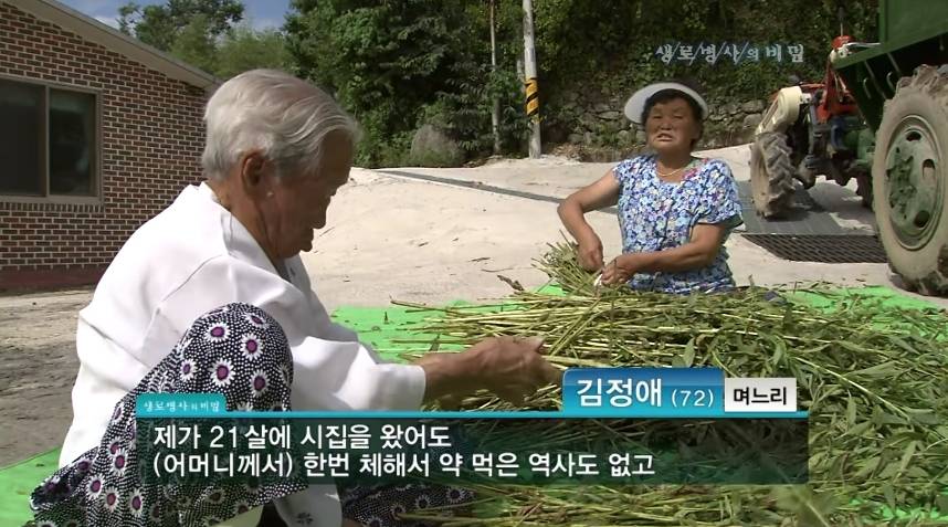 병 안걸리고 오래 사는 가장 확실한 방법.jpg | 인스티즈