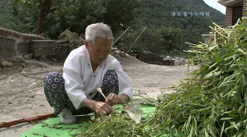 병 안걸리고 오래 사는 가장 확실한 방법.jpg | 인스티즈