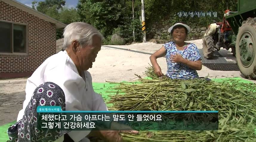 병 안걸리고 오래 사는 가장 확실한 방법.jpg | 인스티즈