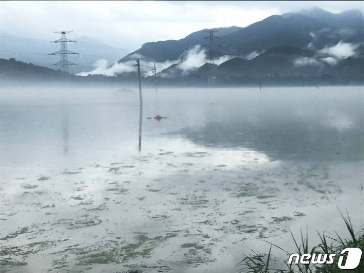 [짱구외할아버지와친할아버지의노래자랑속보] 구례 전지역 상수도 공급 중단…'취수장 침수' | 인스티즈