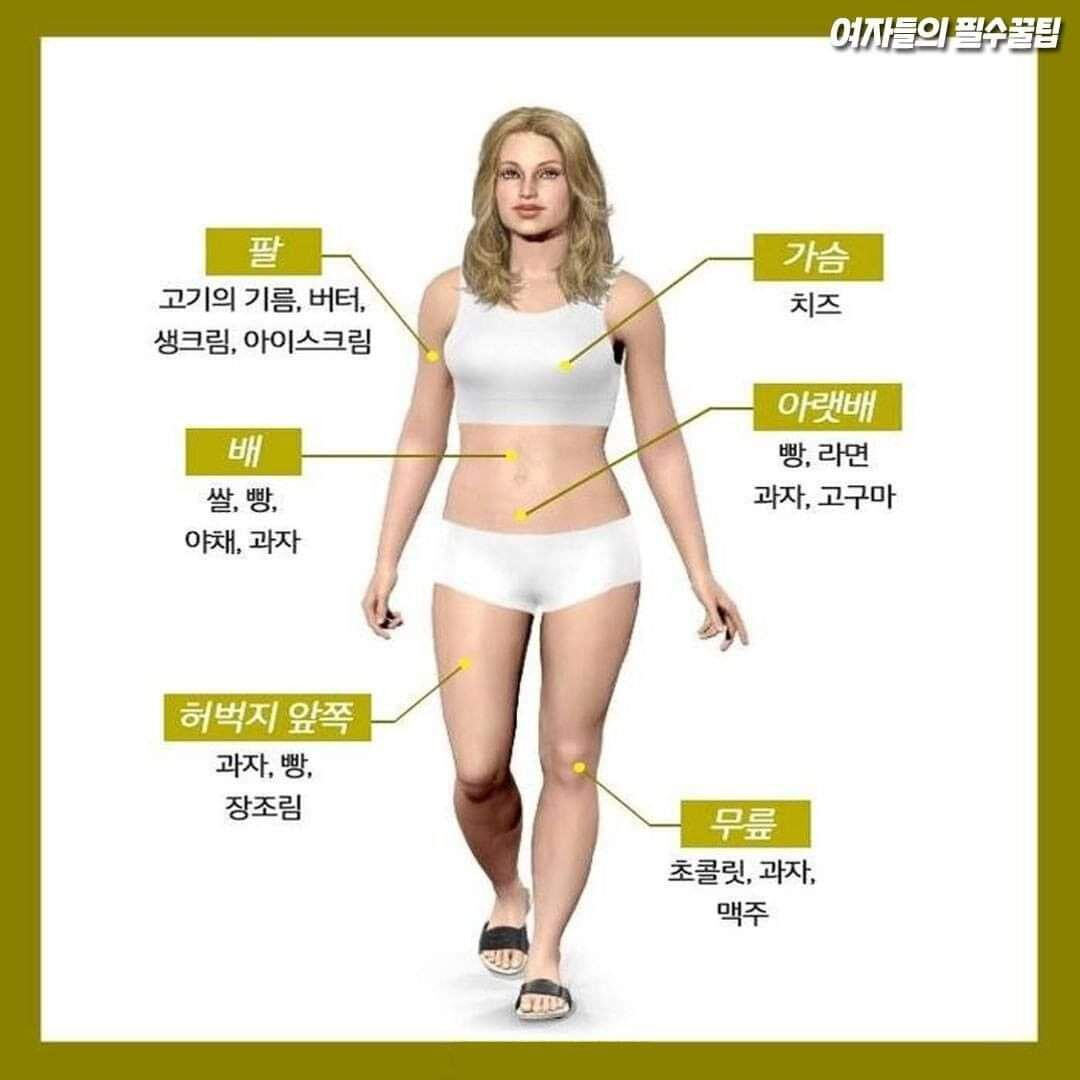 부위별로 살찌는 음식.jpg | 인스티즈