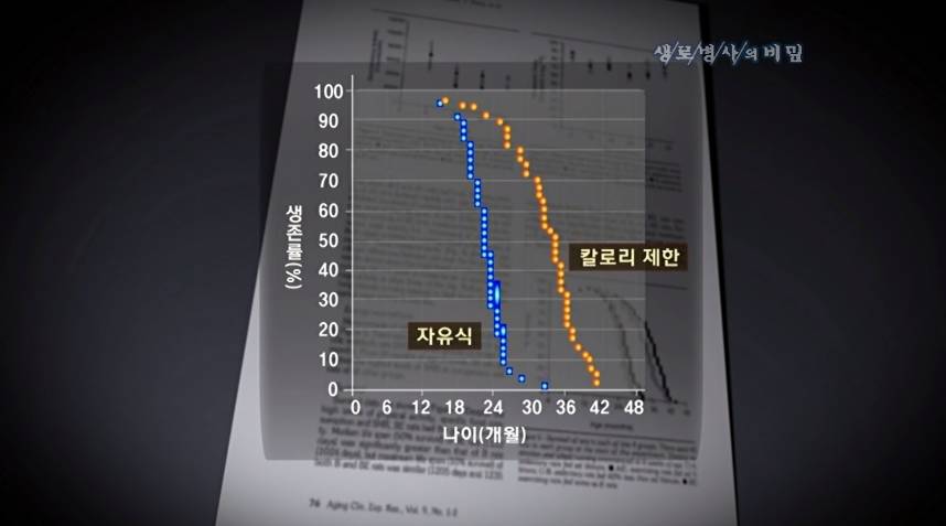 병 안걸리고 오래 사는 가장 확실한 방법.jpg | 인스티즈