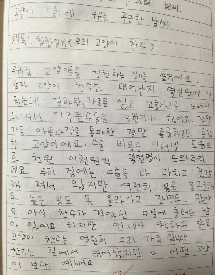 깊은 밤이라는 말은 있는데 왜 깊은 아침이란 말은 없는 걸까 | 인스티즈