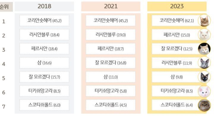 고양이 강아지 종 별 인기순위와 연도별 추이 | 인스티즈