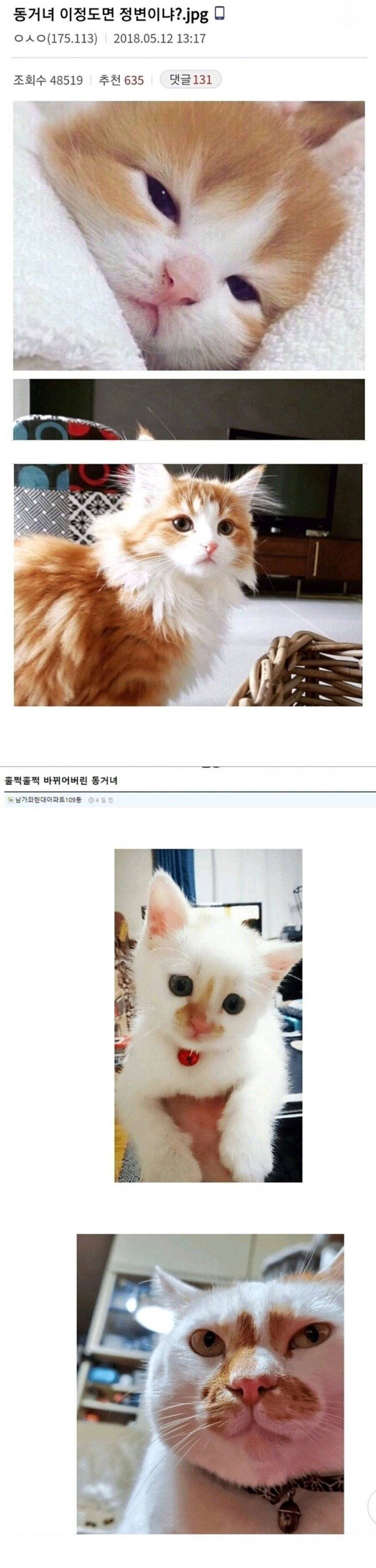 정변 vs 역변 | 인스티즈
