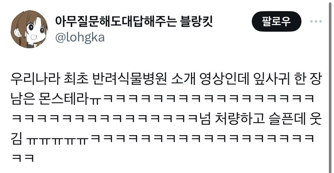 잎 한장만 남은 몬스테라 | 인스티즈
