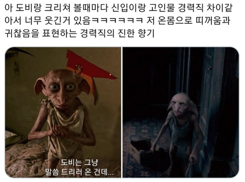 신입과 고인물의 차이 | 인스티즈