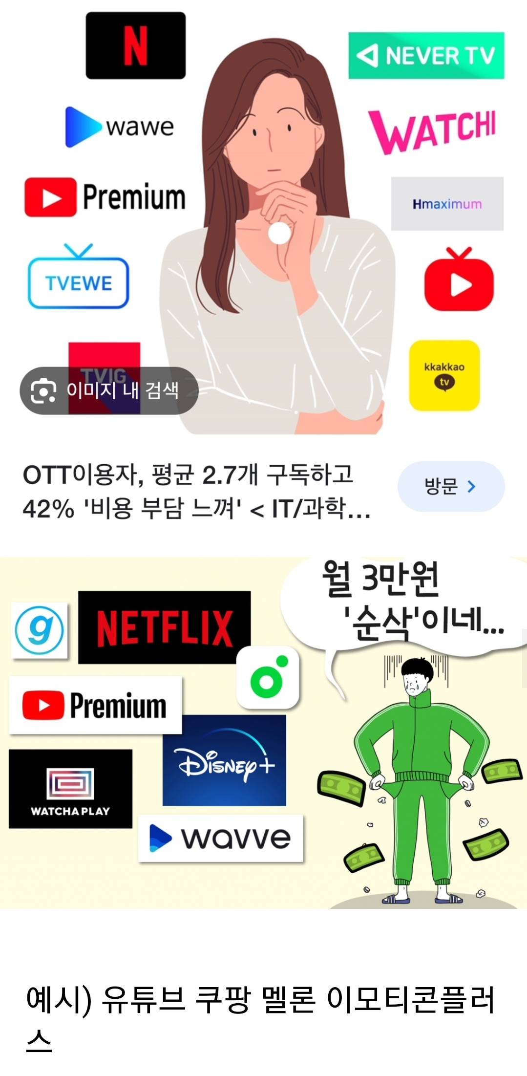 한달에 구독하는거 싹다 적어보십쇼 | 인스티즈