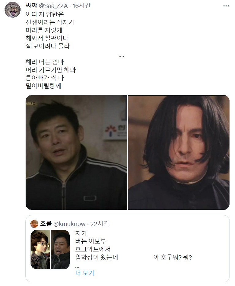 현재 덕후들 사이에서 유행하는 '응답하라 해리포터'.X | 인스티즈
