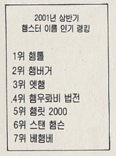 2001년 햄스터 이름 랭킹 | 인스티즈