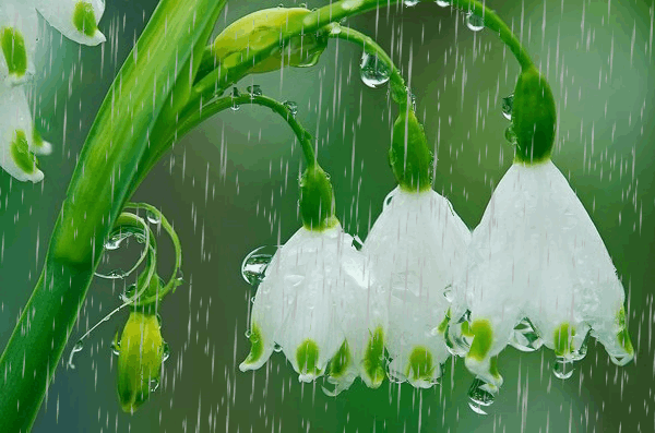 점박이 돼지ㅋㅋㅋ.gif | 인스티즈