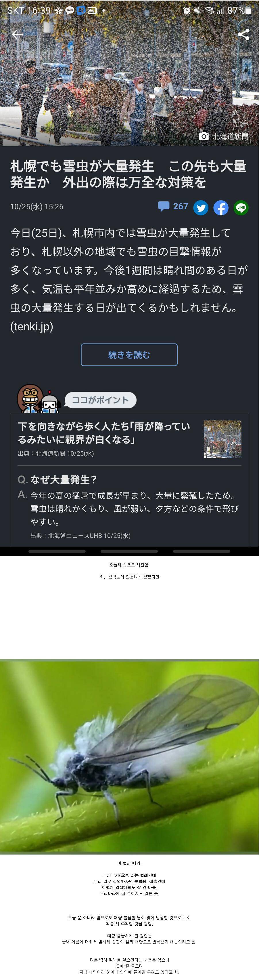 어제자 훗카이도 근황 | 인스티즈