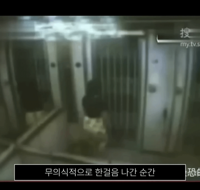 대만의 기묘한 엘리베이터 사망 사고.jpg | 인스티즈