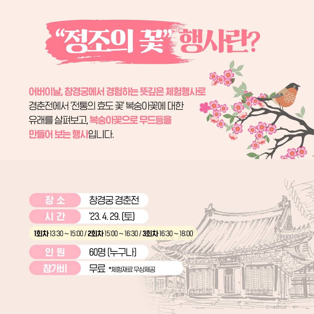 카네이션 말고 한국의 전통 효도 꽃 | 인스티즈