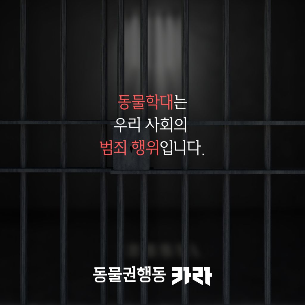 북서울꿈의숲 고양이 연쇄 살해 사건 부검 결과 독극물 검출(목격자 제보 받는중) | 인스티즈