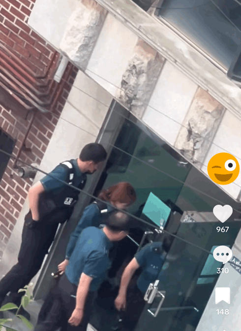 흉기 난동 외국인 제압하는 경찰.gif | 인스티즈