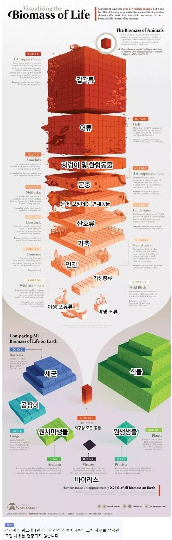 무게기준 세상에서 가장 많은 생물 | 인스티즈