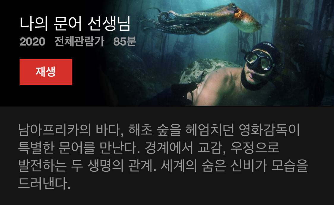 넷플릭스를 더 알차게 쓰고 싶으면 다큐를 보면 됨. 당연함. 다큐 맛집임 | 인스티즈