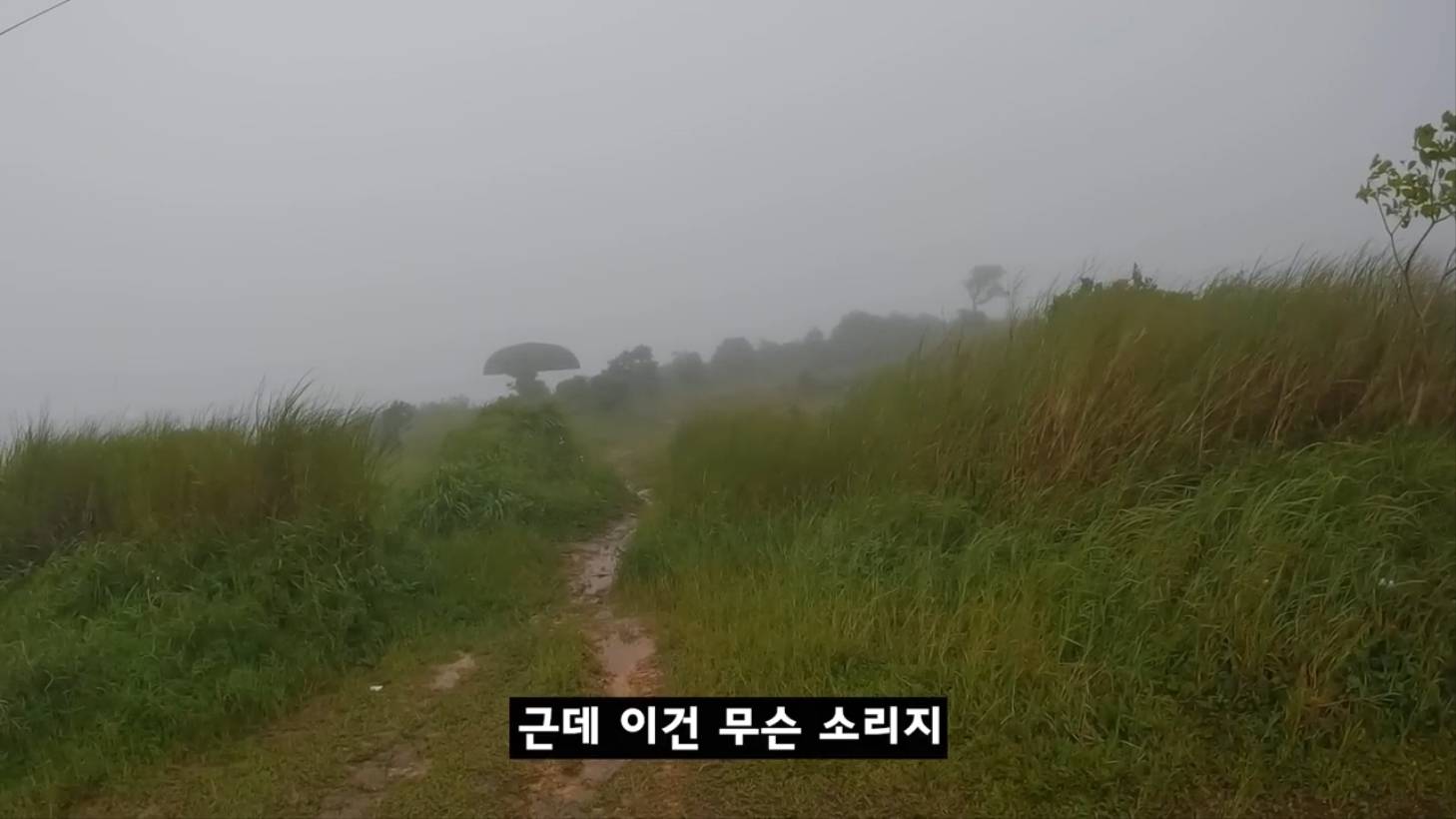 아직 퇴마가 덜 된 것 같은 알포인트 촬영지(세미공포주의) | 인스티즈