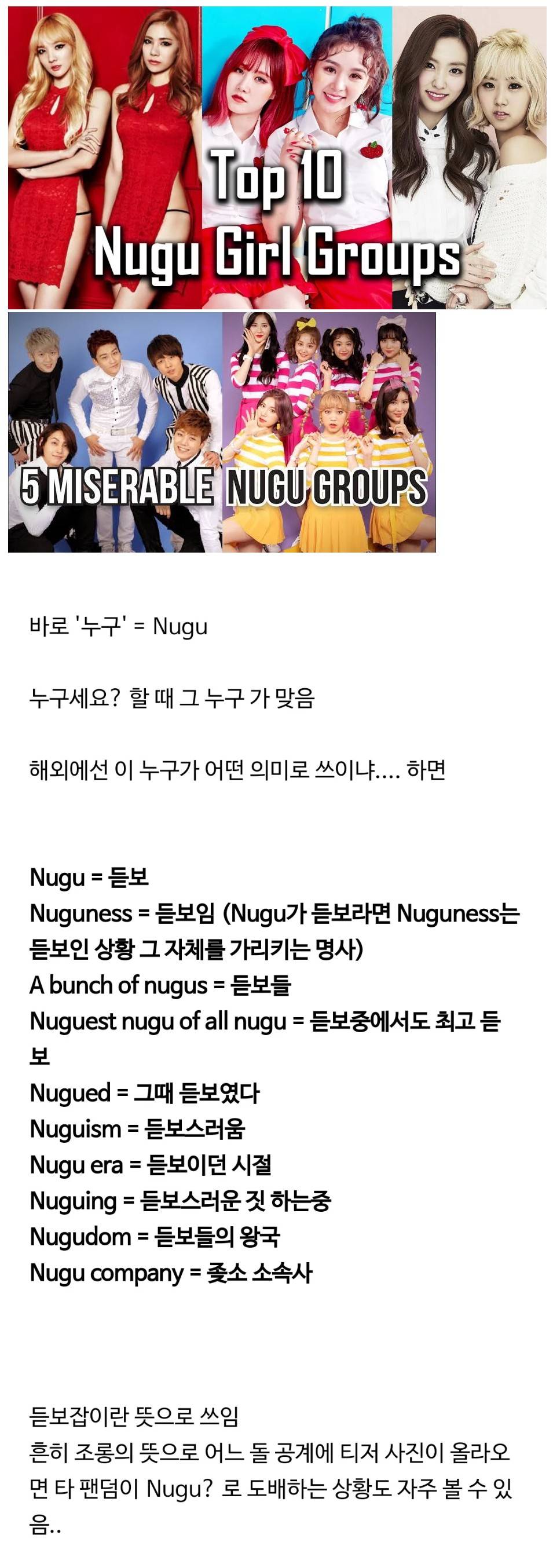 해외 KPOP 팬들에게 뜻이 변질되어 쓰이는 단어 | 인스티즈