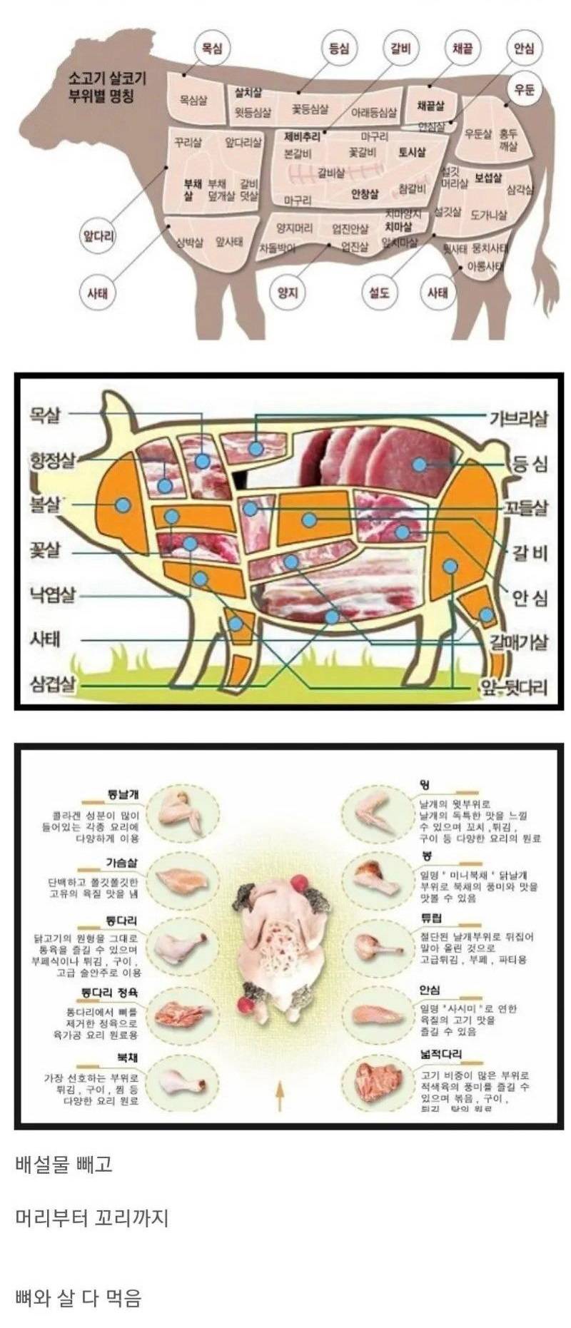 한국인의 식성 특징.jpg | 인스티즈