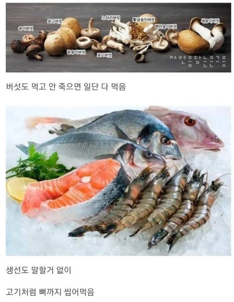 한국인의 식성 특징.jpg | 인스티즈