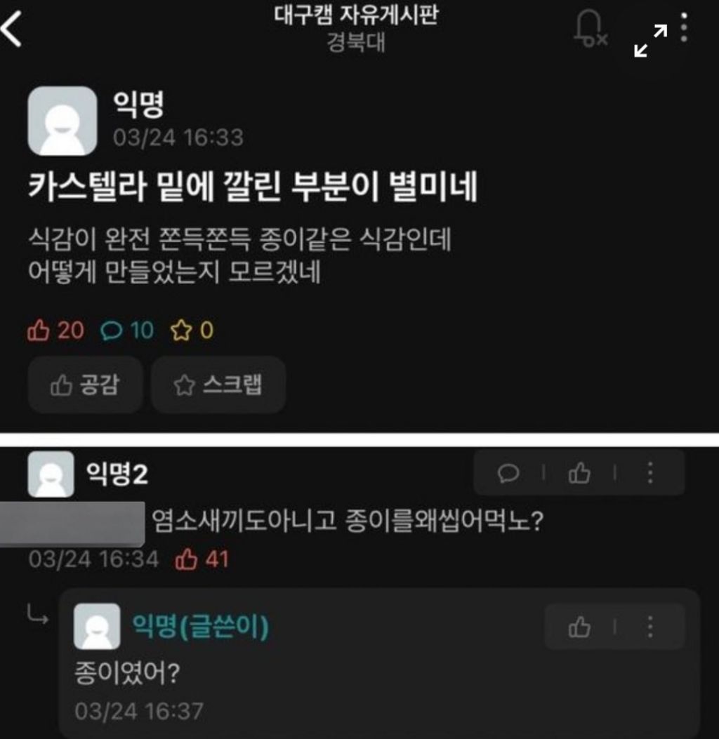 우당탕탕 경북대학교 에타 모음 | 인스티즈